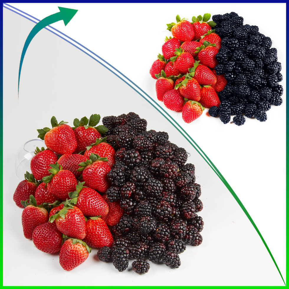 Photo Retouching sample 37